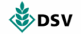 DSV_Logo-h100px