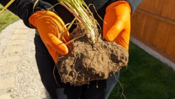 PXL_20210428_085706711-1-1-450x250