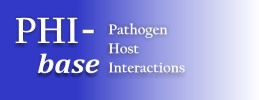 PHI-base logo