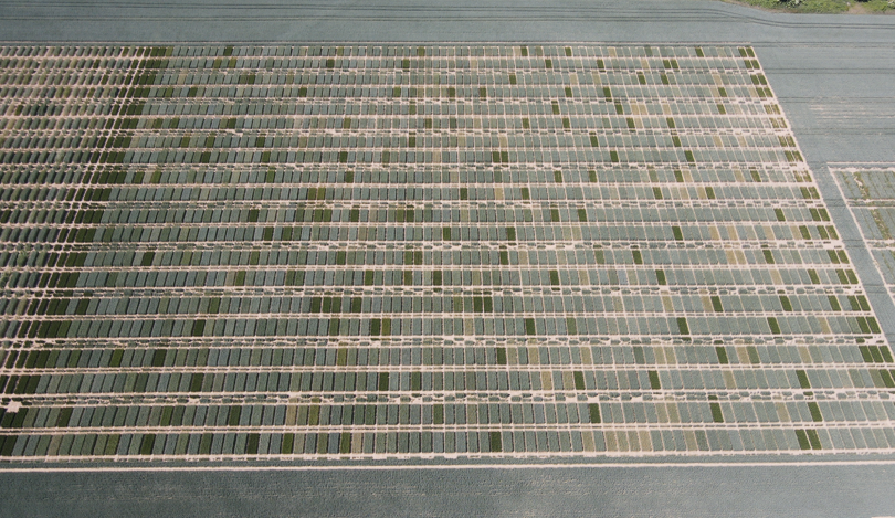 Experimental Toolkit plots at Rothamsted Research (2022) Experimental Toolkit plots at Rothamsted Research (2022)