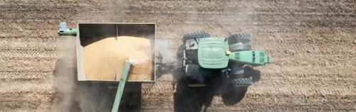 Sustainable Data Frameworks for Wheat