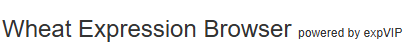 Wheat expression browser