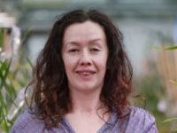 DSC_3371-v2-2-615x340