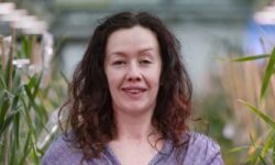 DSC_3371-v2-2-615x340