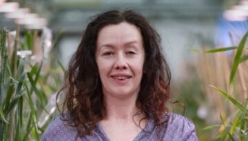 DSC_3371-v2-2-615x340