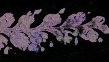 1mm-overview-scale-VGN1c-region-1-landscape-WEB-450x250